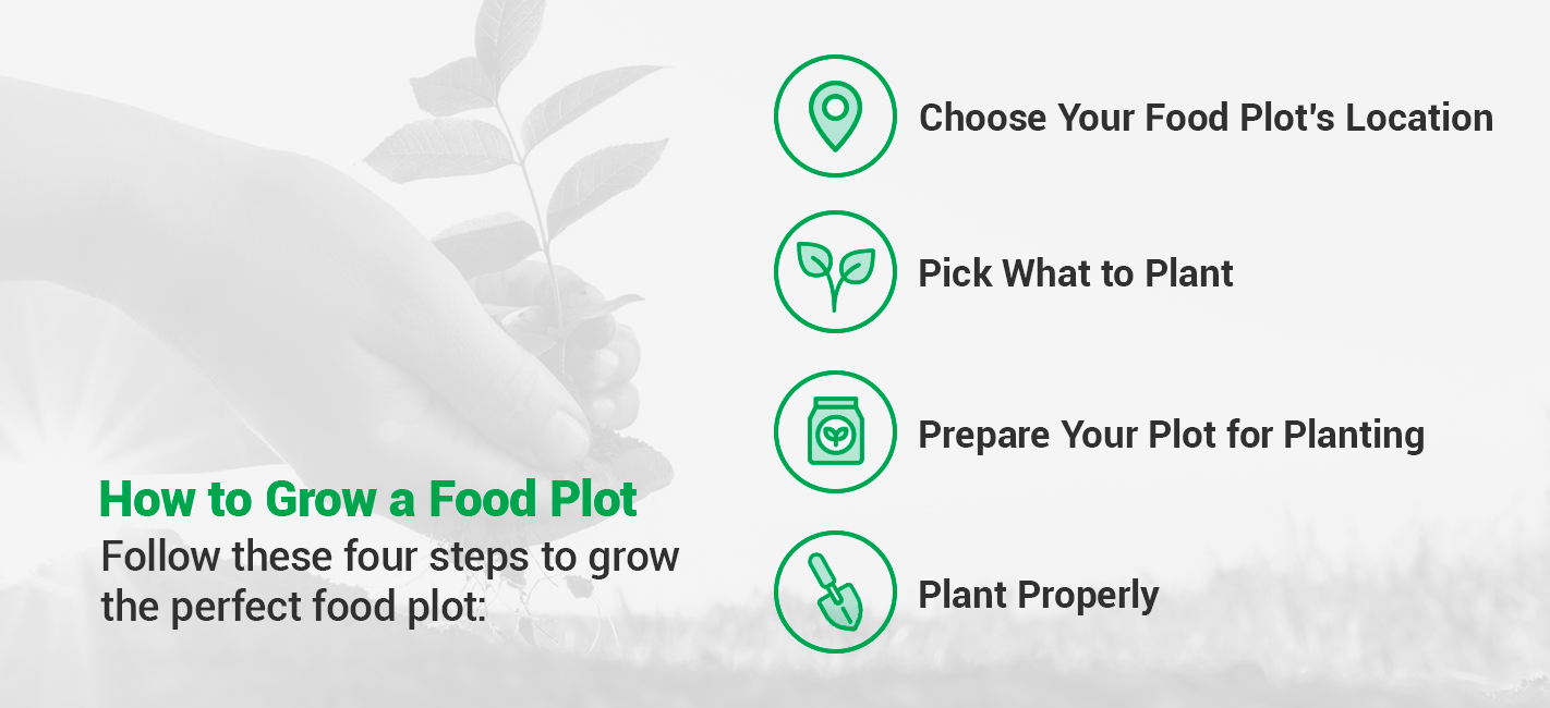 Everything You Need to Know About Food Plot Spraying