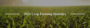 2021 Crop Farming Statistics