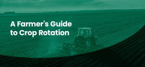 Farmer's Guide to Crop Rotation