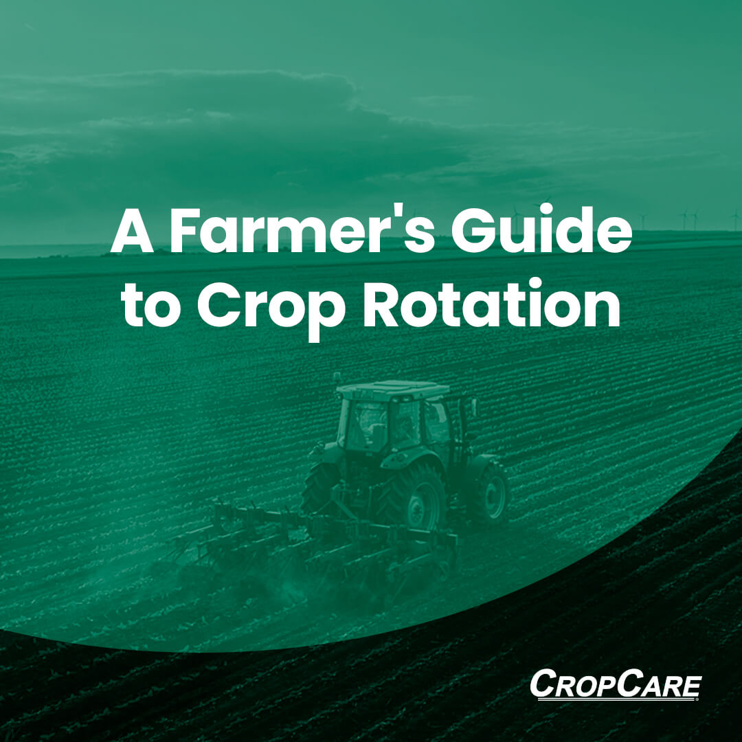 A Farmer's Guide to Crop Rotation | CropCare