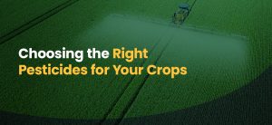 Choosing the Right Pesticides for Your Crops