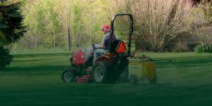 man using a sprayer on his lawn