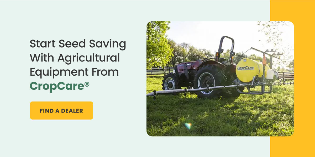 What Is Seed Saving?