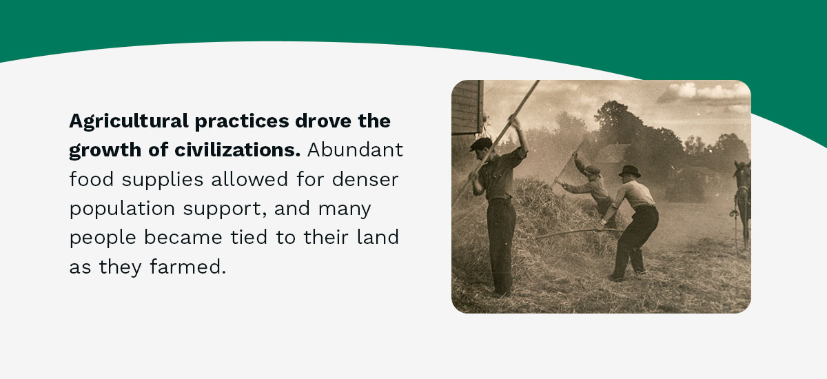 Agricultural practices drove the growth of civilization