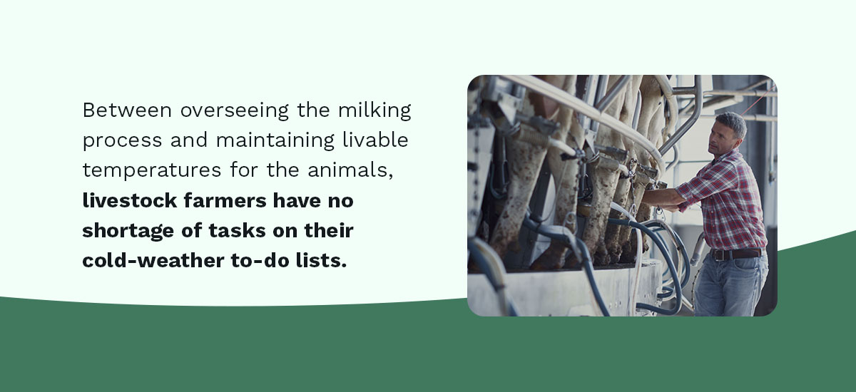 livestock farmers have no shortage of tasks in winter