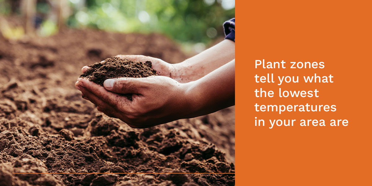 plant zones tell you what the lowest temperatures in your area are